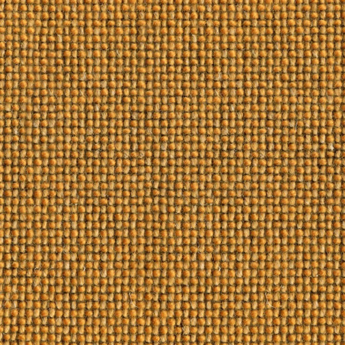 Craggan Flax